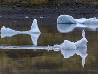 Verschiedenförmige Eisschollen mit Spiegelung im ruhigen Wasser des Fjallsárlón - Südisland